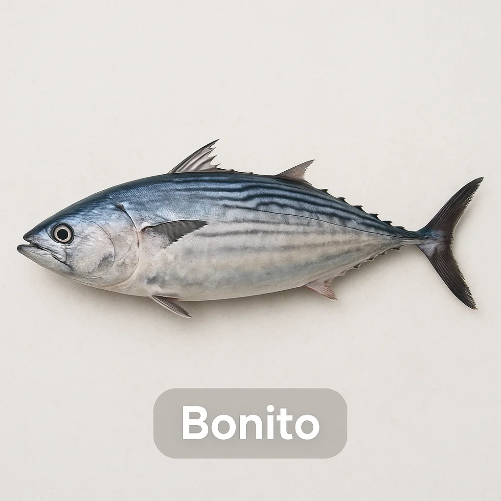 Bonito
