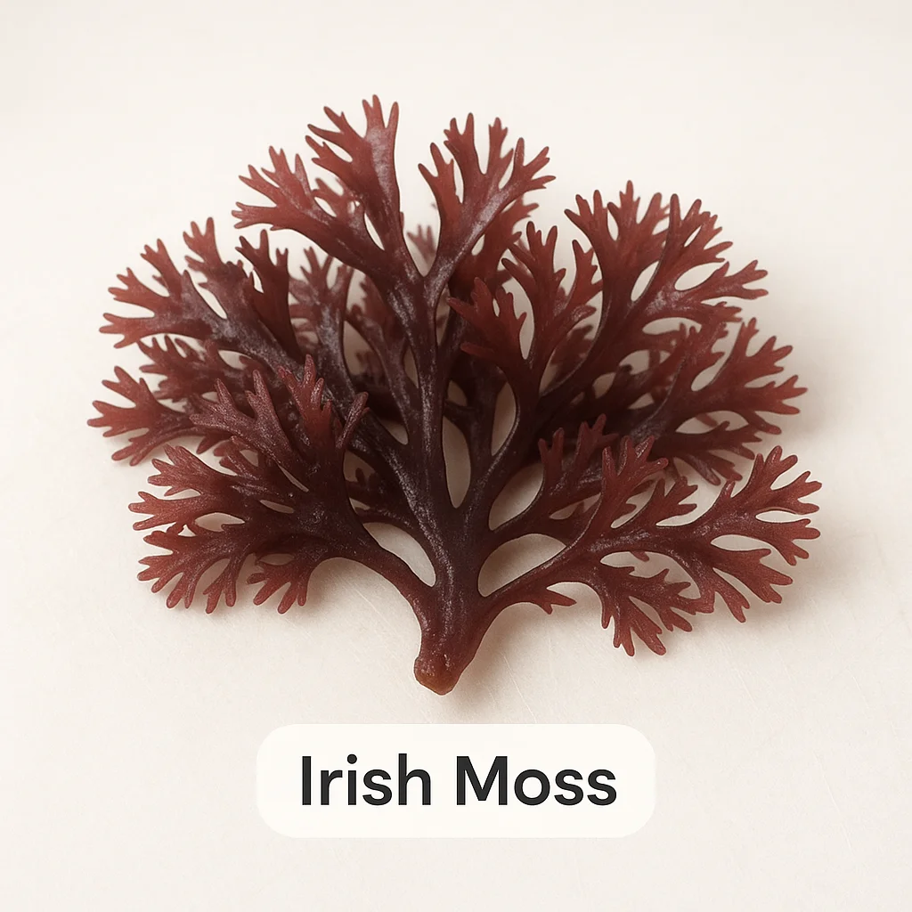Irish Moss