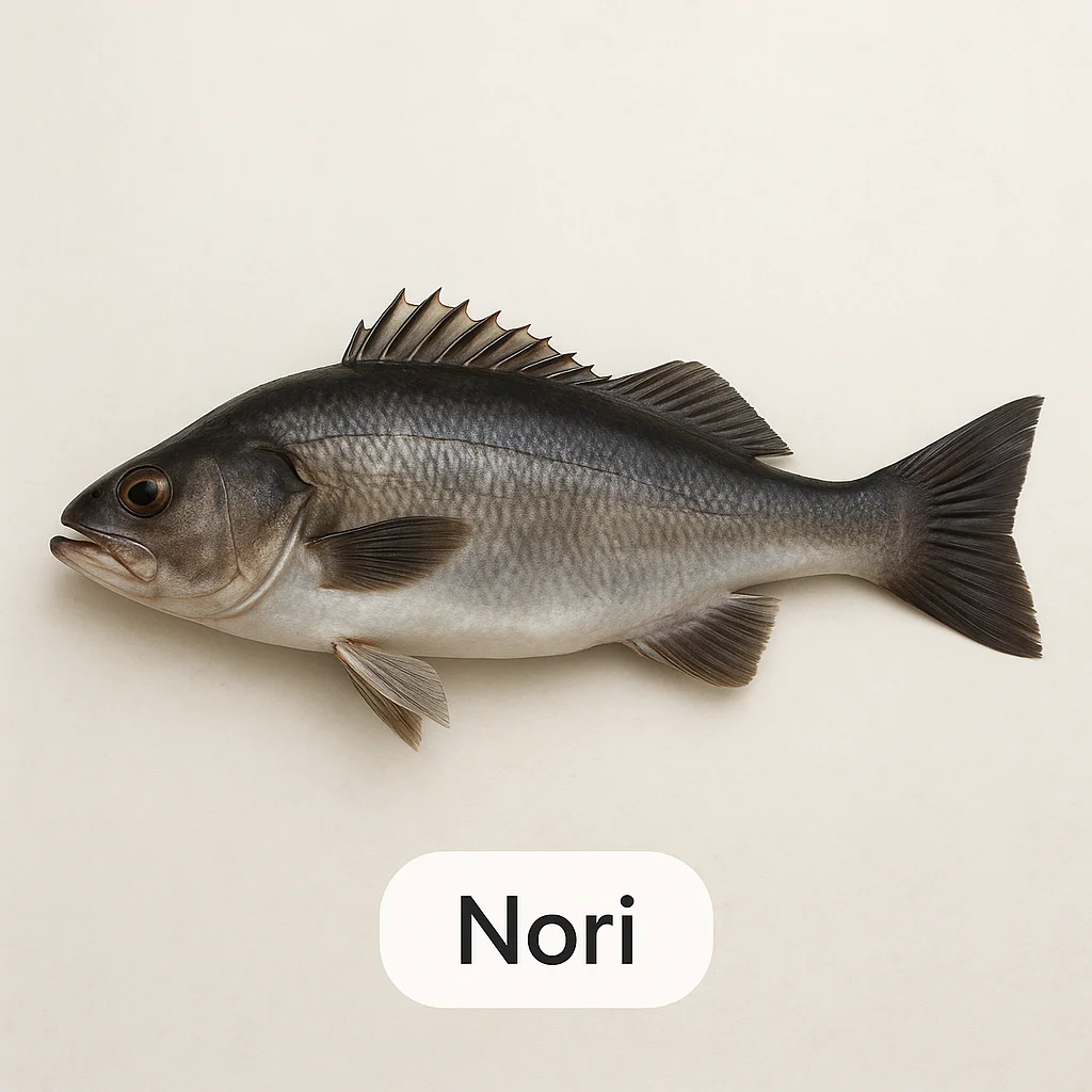 Nori