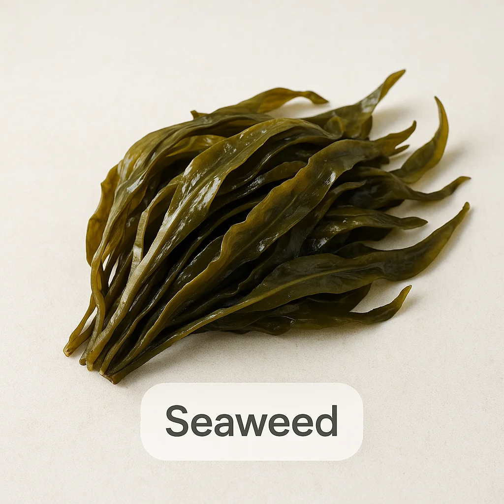 Seaweed