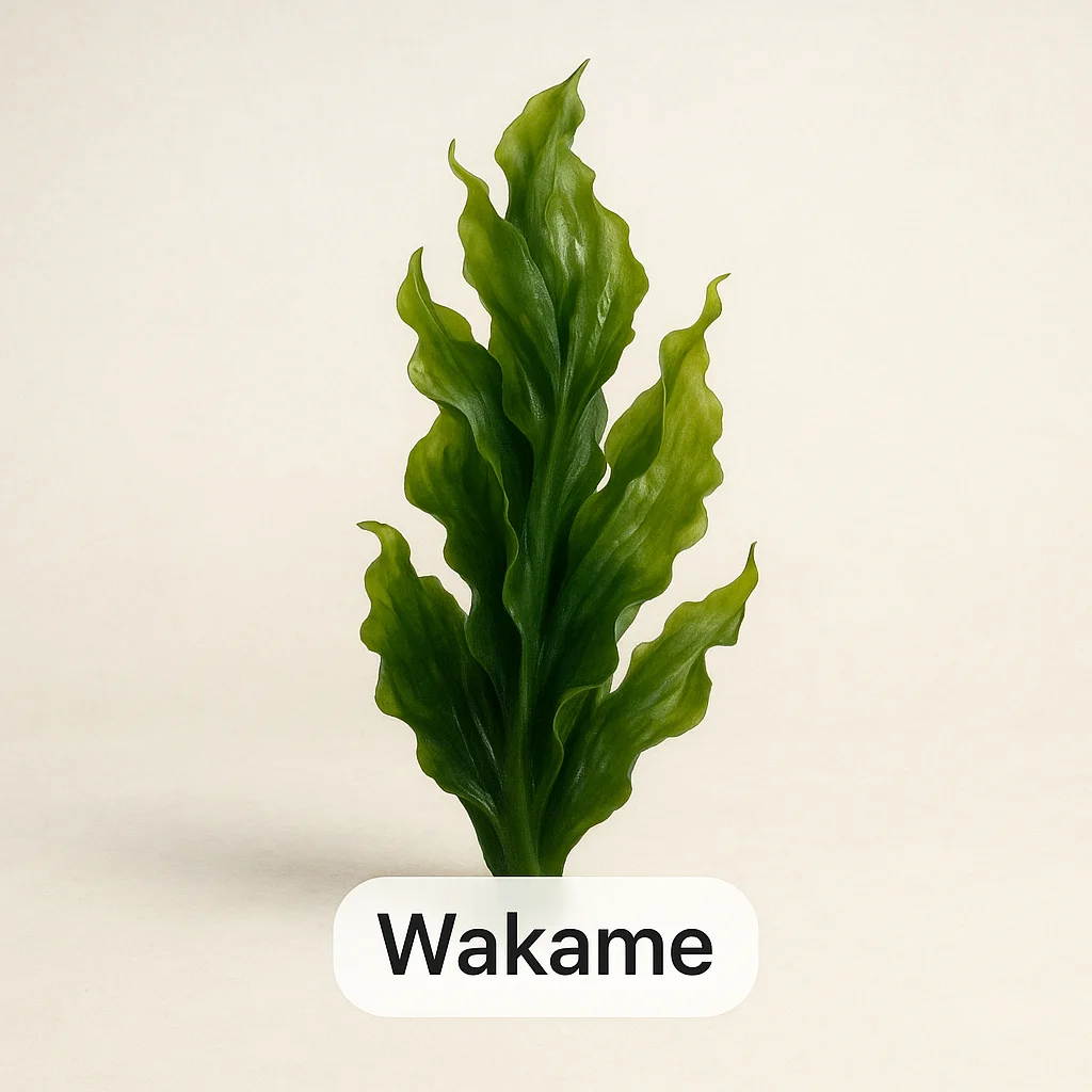 Wakame
