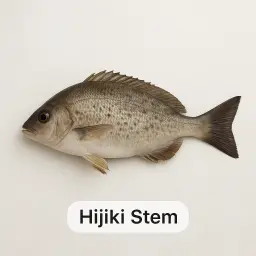 Hijiki Stem