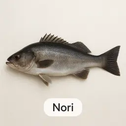 Nori