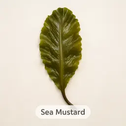 Sea Mustard