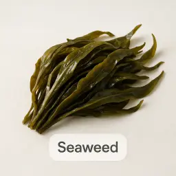 Seaweed